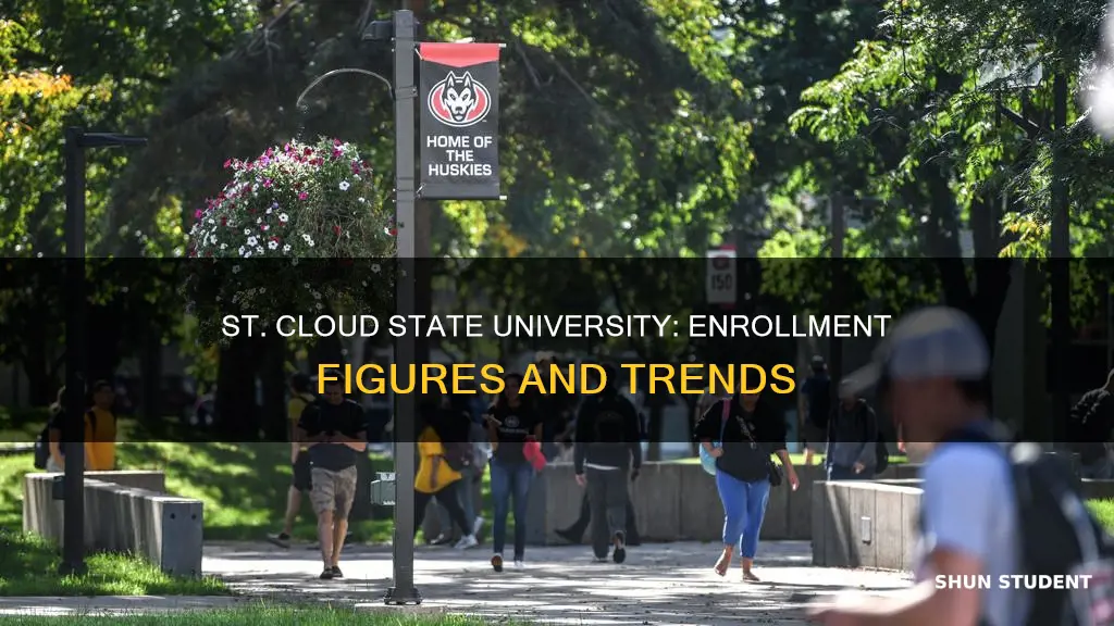 how many students are enrolled at st cloud state university