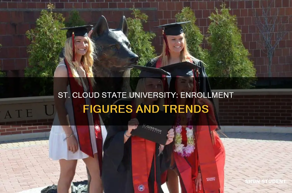 how many students are enrolled at st cloud state university