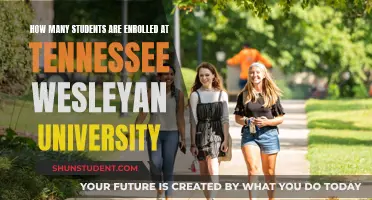 Tennessee Wesleyan University: Enrolment Figures and Insights