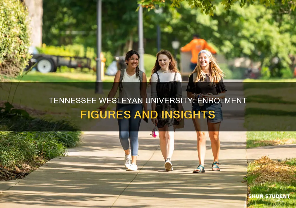 how many students are enrolled at tennessee wesleyan university