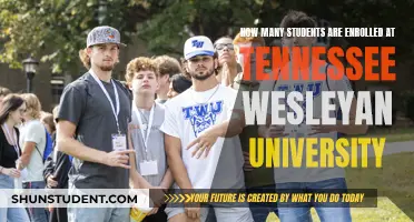 Tennessee Wesleyan University: Enrollment Figures and Trends