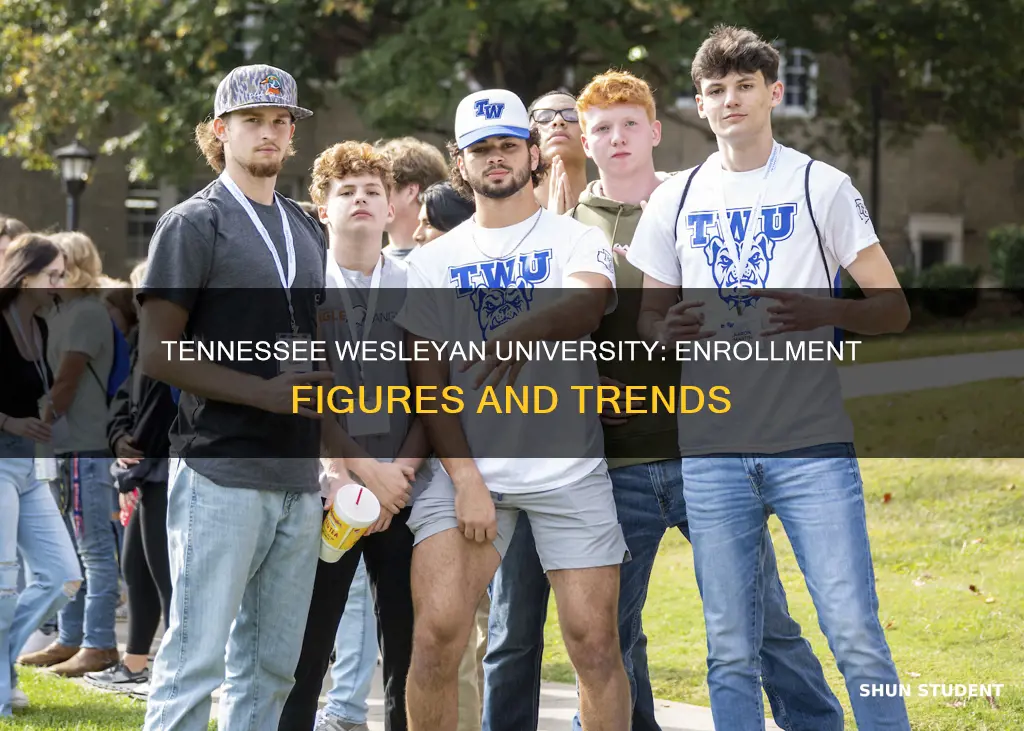 how many students are enrolled at tennessee wesleyan university