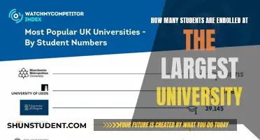 Largest University Enrollment Figures: Student Numbers Revealed