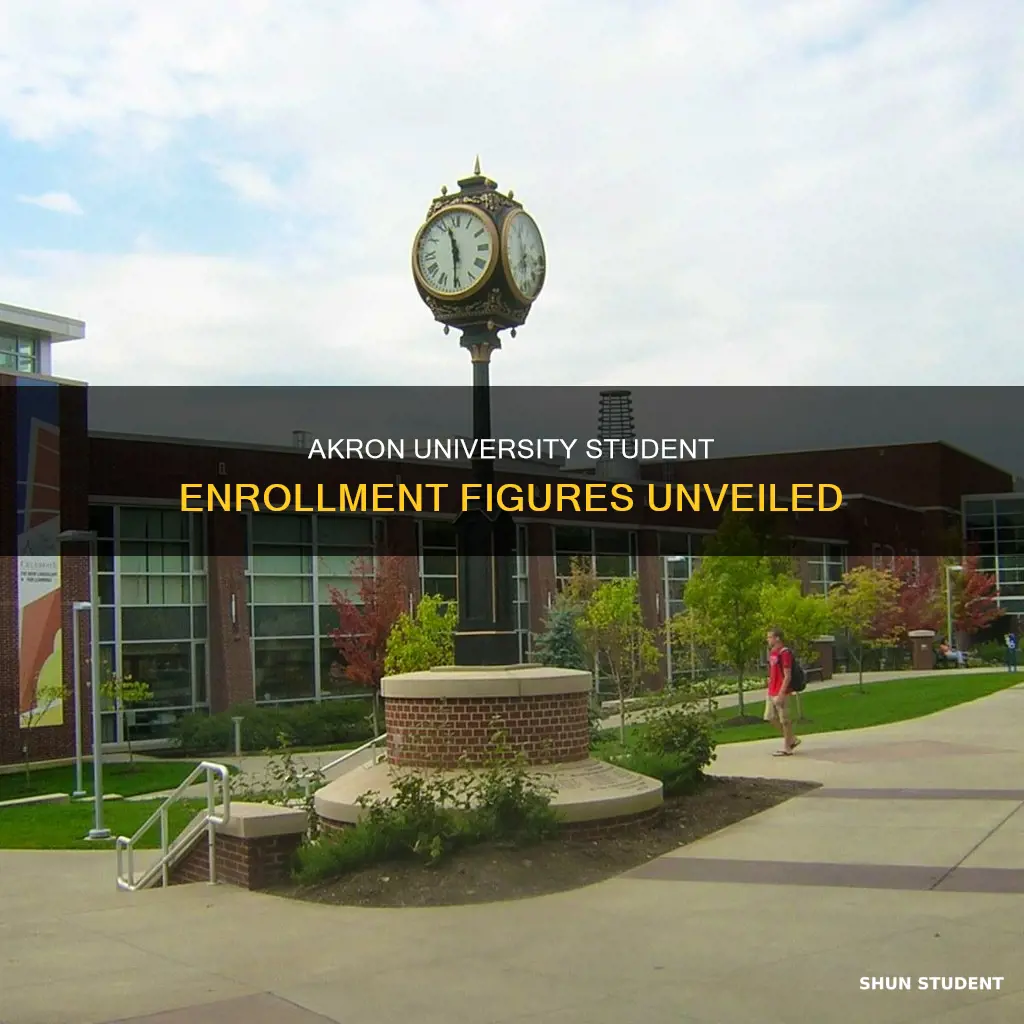 how many students are enrolled at the university of akron