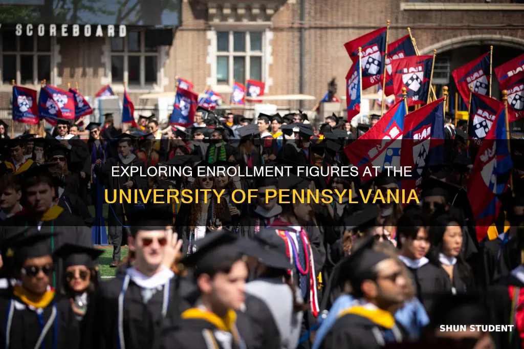 how many students are enrolled at the university of pennsylvania