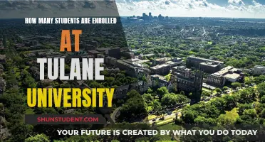 Enrollment Insights: Tulane University's Student Population