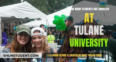 Enrolment Insights: Tulane University's Student Population