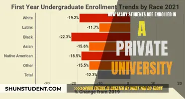 Private University Student Enrollment Figures Unveiled