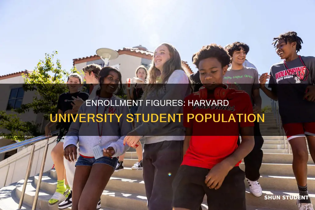 how many students are enrolled in harvard university