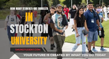 Exploring Enrollment Figures at Stockton University