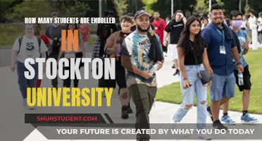 Exploring Enrollment Trends at Stockton University