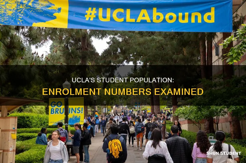 how many students are enrolled in ucla university