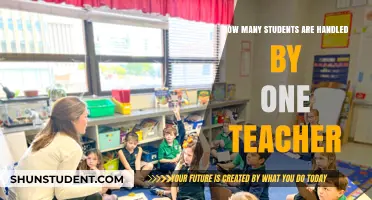 Teacher-Student Ratio: Balancing Classroom Management and Individual Attention