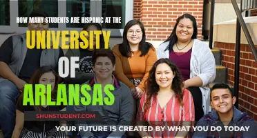 Hispanic Students at the University of Arkansas: What's the Count?