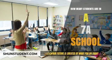 Exploring Class Sizes: A Look Inside 7th Grade Schools