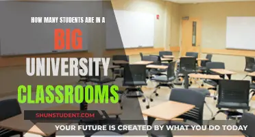 Large University Classrooms: Student Number Impact