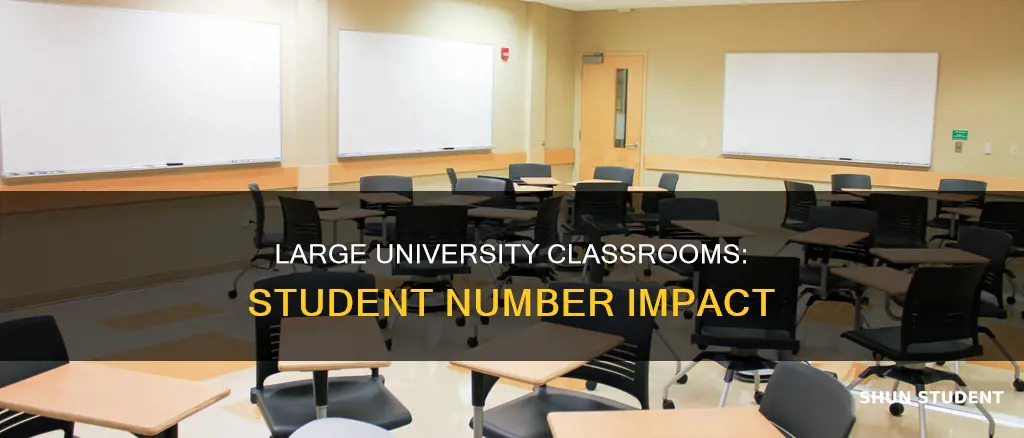 how many students are in a big university classrooms