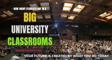 Large Classrooms: Student Count in Big Universities