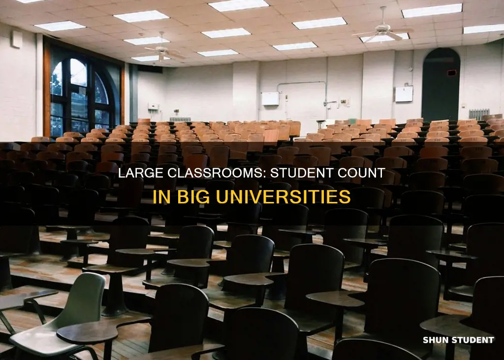 how many students are in a big university classrooms