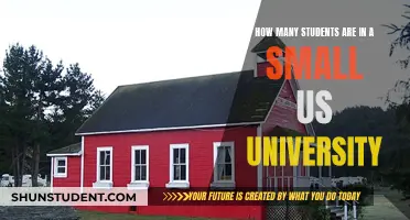 Small US Universities: Class Sizes and Student Numbers