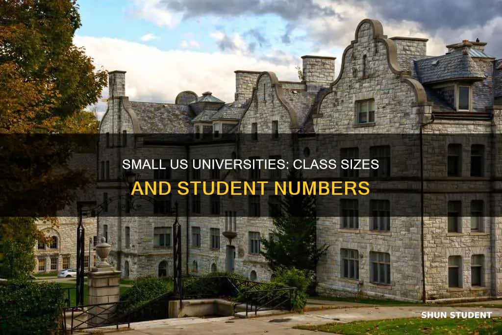 how many students are in a small us university