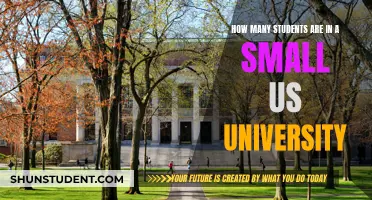 Small US Universities: Class Sizes and Student Numbers