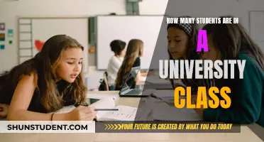 University Class Sizes: How Many Students?