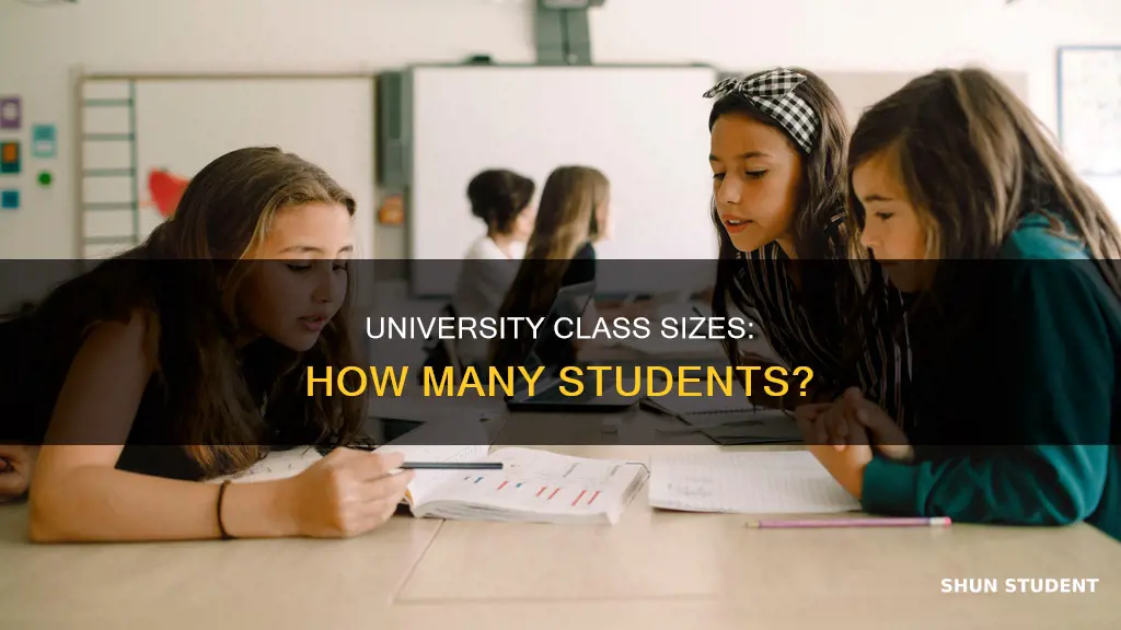 how many students are in a university class