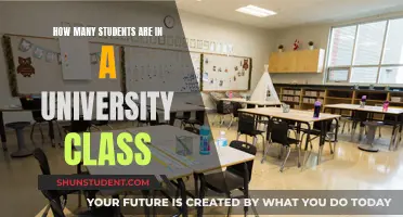 Class Sizes: How Many Students Per University Class?