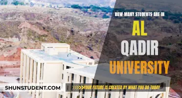 Exploring Al Qadir University's Student Population