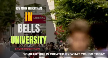 Exploring Bells University's Student Population