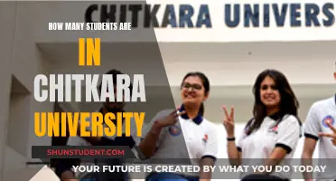 Chitkara University: A Thriving Student Community
