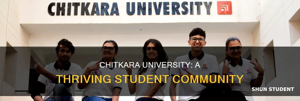 how many students are in chitkara university