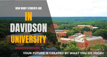 Davidson University: A Small Student Community