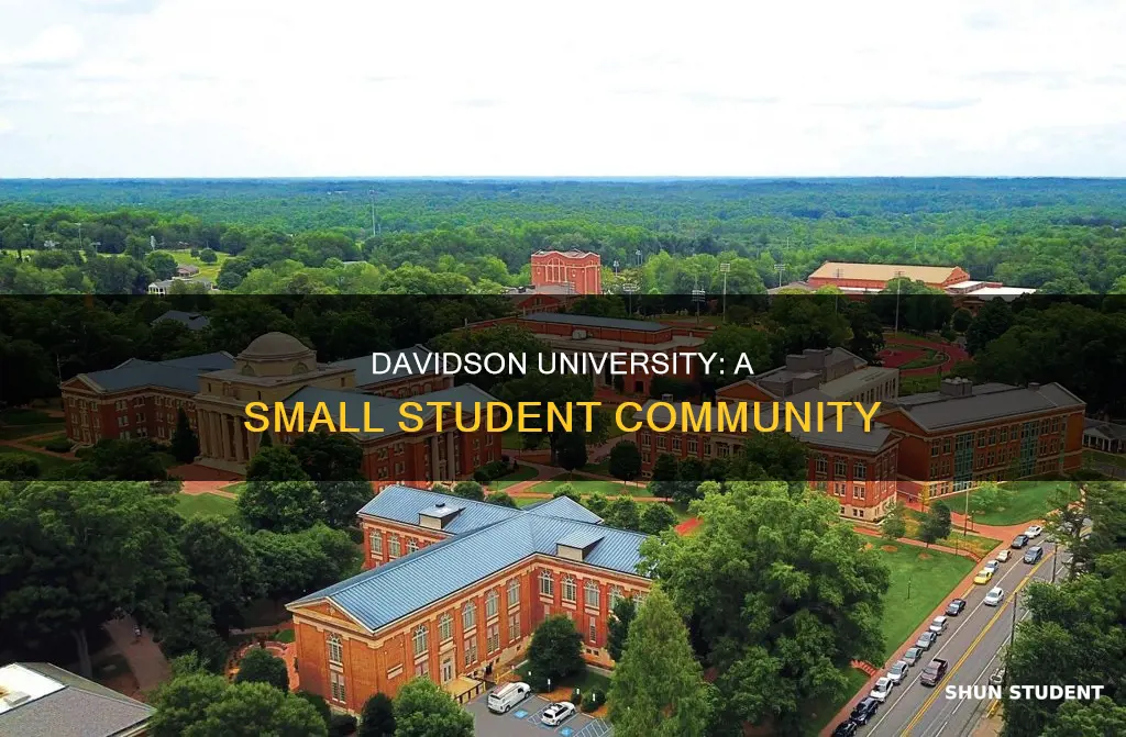 how many students are in davidson university