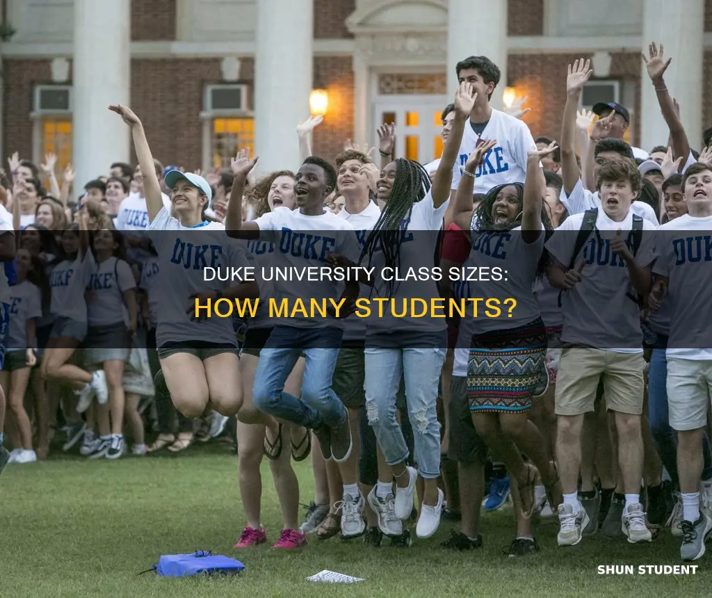 how many students are in each class at duke university