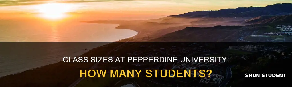 how many students are in one class at pepperdine university