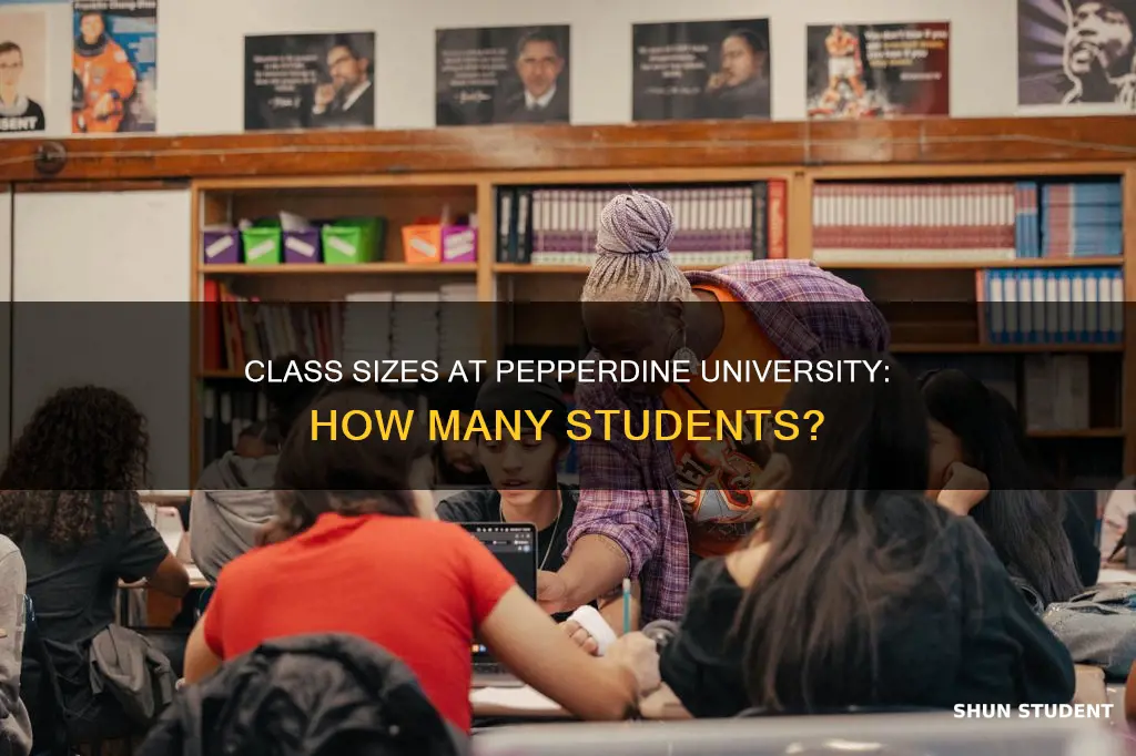 how many students are in one class at pepperdine university