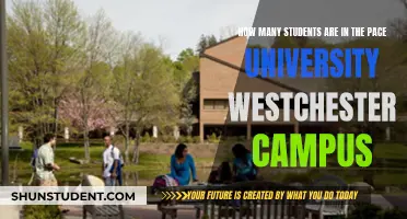 Pace University's Westchester Campus: Student Population Insights