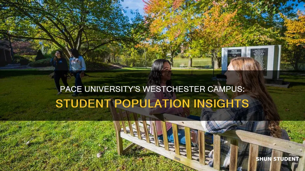 how many students are in the pace university westchester campus