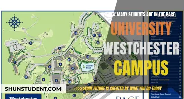 Pace University Westchester Campus Student Population