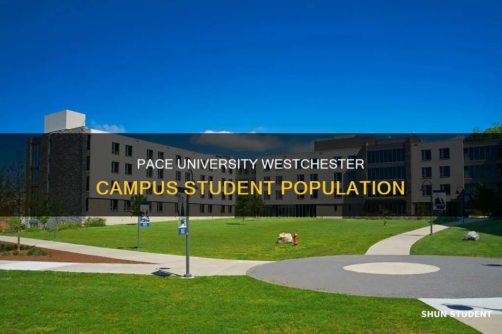how many students are in the pace university westchester campus