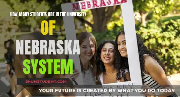Nebraska's University System: Student Population Insights