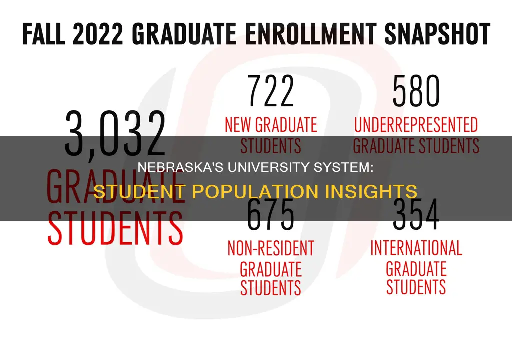 how many students are in the university of nebraska system