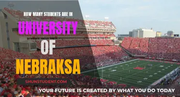 University of Nebraska: Student Population Insights