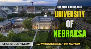 Nebraska's University: A Student Population Overview