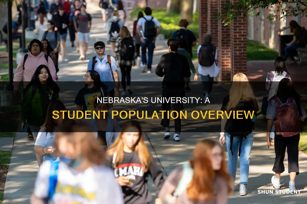 how many students are in university of nebraksa