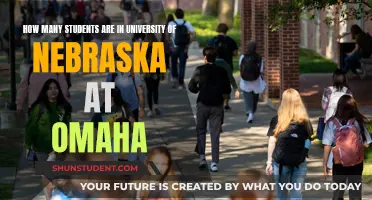 Omaha University's Student Population: A Comprehensive Overview