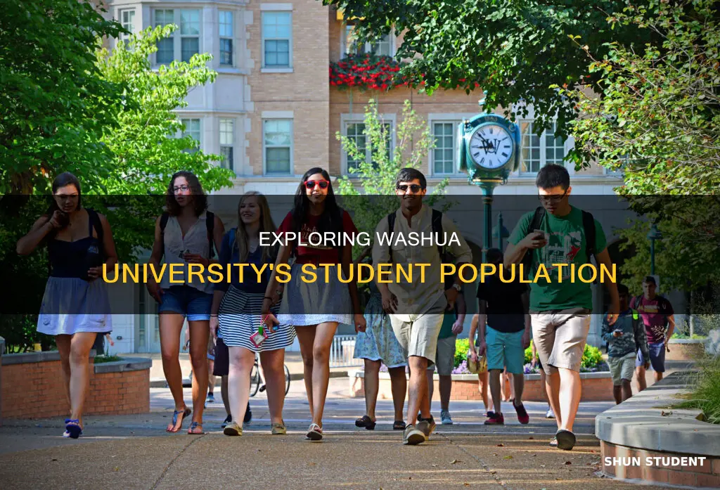 how many students are in washua university