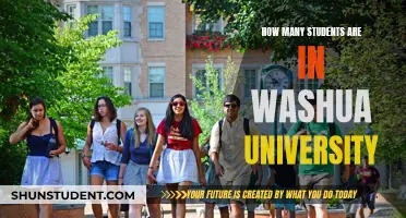 Exploring WashU: Student Population Insights